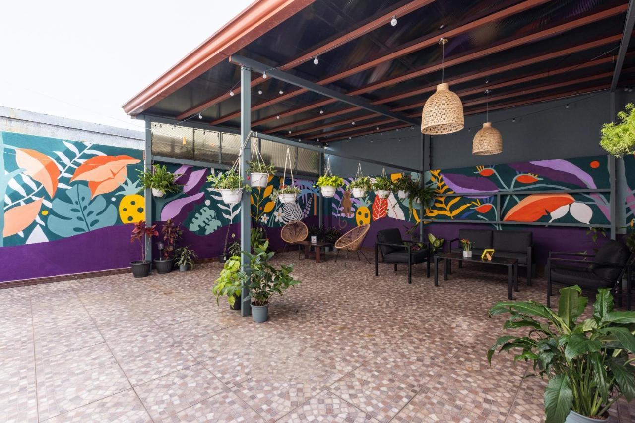 Viva Guest House San Jose  Exterior photo
